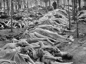 吃瓜一线黑料集中营,网络舆论背后的真相与反思